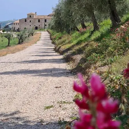 ベッド・アンド・ブレックファスト Castello Di Petecciano B&B Mosciano SantʼAngelo